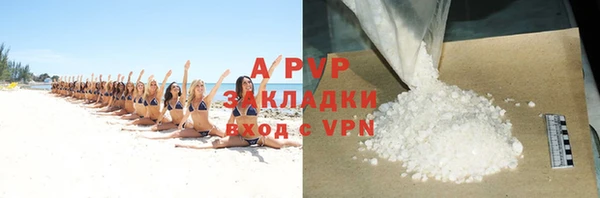 бошки Богданович