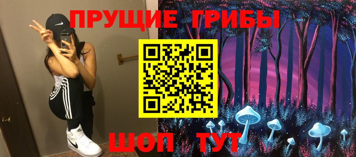 Псилоцибиновые грибы Psilocybe Корсаков