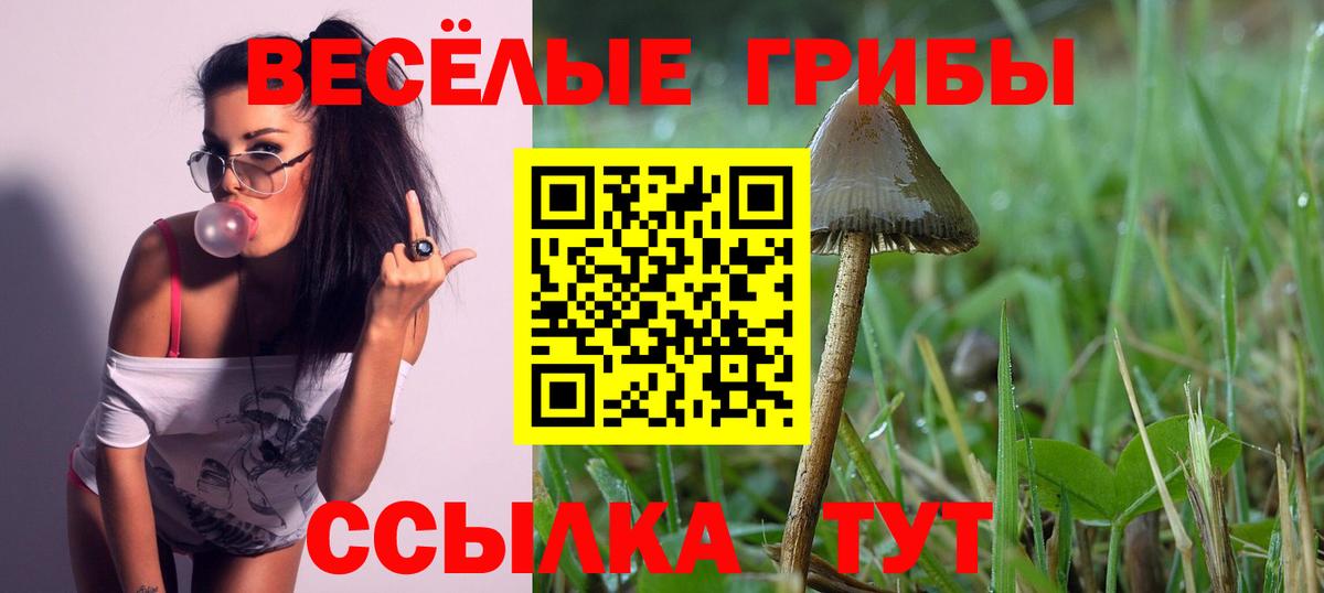 Псилоцибиновые грибы мухоморы  Псилоцибиновые грибы MAGIC MUSHROOMS  Вход с VPN  Корсаков 